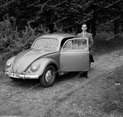 Negative-Volkswagen-Beetle-VW-Betle-Automotive-Automotive-5