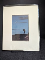 Set of 4 Wildlife/Nature Photographs by Jim Stamates, 4″x6″, Matted to 8″x10″