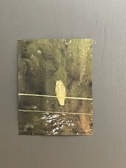 Landscape photograph- Owl At Night #3 8.5×11 Print