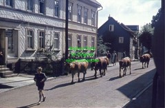 Finsterbergen Friedrchroda – GDR 1960 – 7x Orig Slide Photo Colour Slide – ZA63.65-70