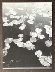 Calmen & Bech – 2008 Art Photo Announcement Card – To The Ends Of Our World