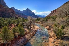 Zion National Park Virgin River Utah #2A Red Rock Canyon Poster Photo Print ZP25