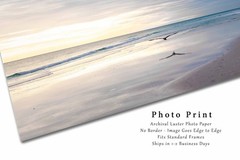Sea Bird Flying Over Waves at Pensacola Beach Florida Photo Print (Unframed)