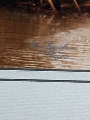 Harry Bowden Photograph » Mallards A’ Wing New Mexico» framed, signed & numbered