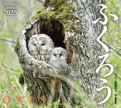2025 Owls Monthly Wall Calendar (Yamakei) – Birds – 1-Year – Japanese Language