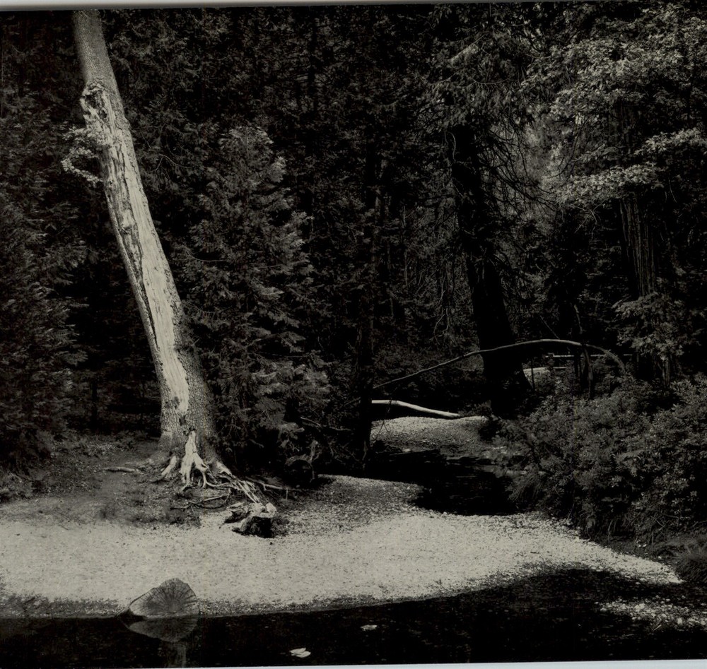 1949 Ansel Adams Yosemite Creek Evening Scene Original Art Photo Gravure