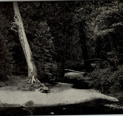 1949 Ansel Adams Yosemite Creek Evening Scene Original Art Photo Gravure