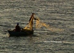 Fishing The Nile at Sunset, Egypt 11 x 14 Print Metallic Paper