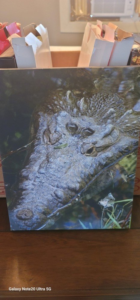 11x14in Canvas Print For Sale