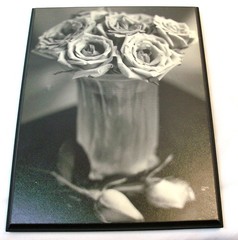 Wood wall hanging. Black and White (gray tone) Roses in vase. Beveled Edge