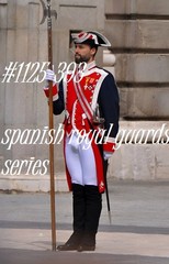 MALE PORTRAIT #1125-393 -men in uniform -spanish royal guard series -freeShipUSA