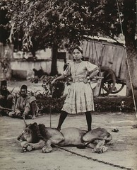 LALA DEEN DAYAL – Gypsy Girl with Lion, 1901 – Photo Litho