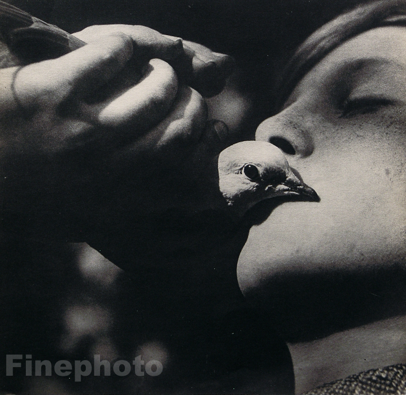 1931 Vintage BEAUTIFUL DOVE KISS Bird France Photo Fine Art 16×20 By JEAN MORAL