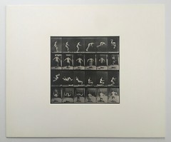 EADWEARD MUYBRIDGE authentic 1887 collotype ANIMAL LOCOMOTION PLATE 363 – lewitt