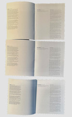 RARE All 3 Versions «Eikoh Hosoe Photographs 1960-80» 1982 Exhibition Catalogues