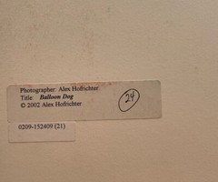 Alexander Hofrichter Ballon Dog 2002 Photo German Artist 12+8 Inches Blue