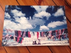 Vtg 70s Hippy Tropical Colorful Aloha Hawaiian Clothes Line Color Photograph Art