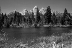 Black and White Wall Decor Art Print of Grand Tetons at Schwabacher Landing
