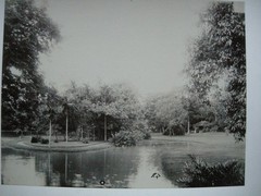 Saigon Vietnam Botanical Garden Botanical 1890 Albumin Photo Ho Chi Minh City