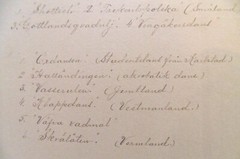 Antique Photo 1907 ~ Swedish National Dancers Stockholm Sweden w/ Names ~ 8″x10″