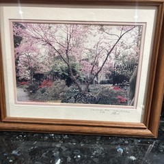 Cherry Blossom Photo Limited Edition # 4/89 Hand Signed Framed 16 1/2”x 13 1/2
