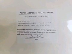 Adam Schallau Photography Lunar Visitor & Navajo Pride Art Photographs