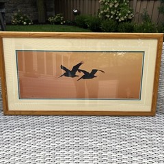 Thomas Mangelsen Signed Art Photo Ltd Pelicans Birds Wings At Dusk Numbered MCM