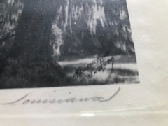 Original Vintage Photography from C. Bennette Moore signed Old Oaks Louisiana