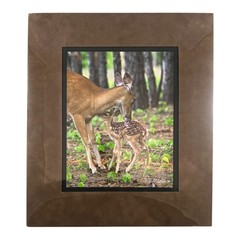 NEW Wildlife Photography Print: Stranger In The Woods ‘Mama Returns’ 8×10 Matted
