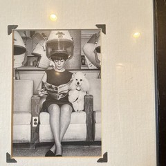 Vintage Black & White Photograph Woman Under Hair Dryer w/ Dog, Framed Matted