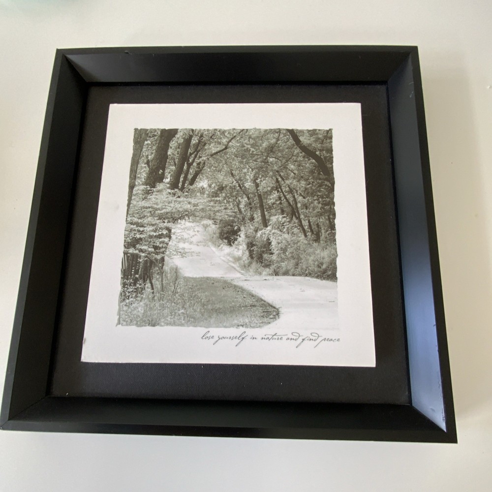 Framed Matted B&W Landscape Road Trees Photo Print Quote «lose yourself»