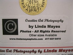 Linda Mayes 2004 Yellow Tulip Sway 6X9 matted 14X11 Creative Art Photography