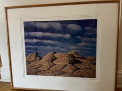 Michael Fatali «Sleeping Turtles» Authentic Framed Hand-Signed Photograph 1999
