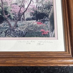 Cherry Blossom Photo Limited Edition # 4/89 Hand Signed Framed 16 1/2”x 13 1/2