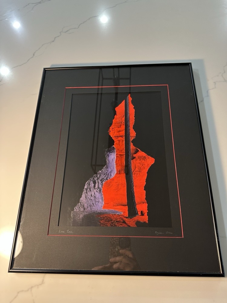 Hand Tinted Framed Photography “Lone Tree” by Susan Rigdon & Bill Ervin Signed