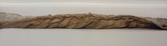 PATRICIA SILVA ‘The Braided Wave’ NATURALIST Abstract CONTEMPORARY Photograph