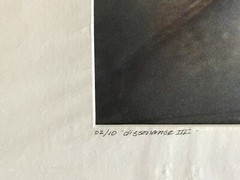 Carol Coates «Dissonance IIl» Color Photograph in Archival Pigments 2007