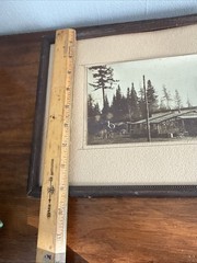 Superb Vintage Adirondack Photo House In The Pines