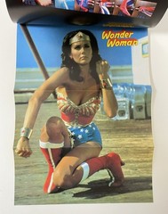 Wonder Woman Complete Visual Guidebook DC comic Lynda Carter Town Mook 1981 Rare