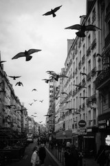 Fine Art Photography – 4×6, 8×12, or 13×19 – Paris, France Notre Dame