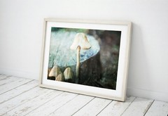 Wild Mushroom Fine Art Wall Print – Botanical Dreamy Home Decor
