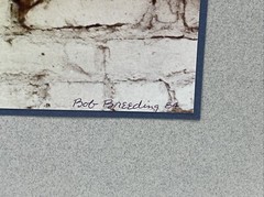 Bob Breeding Urban Street Photography 1984 Photograph Limited 1/3 New York, NY