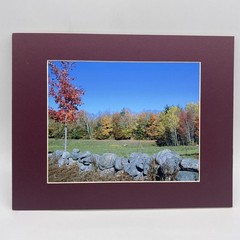 Matted Landscape Photo Print 11 X 14 Wall Art Gallery Decor