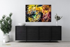 Sea Anemone – Fine Art Prints – Underwater Ocean Life Décor