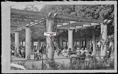 Old Glass Plate Photo Negative Black & White 9×14 cm, Vichy, Pergola