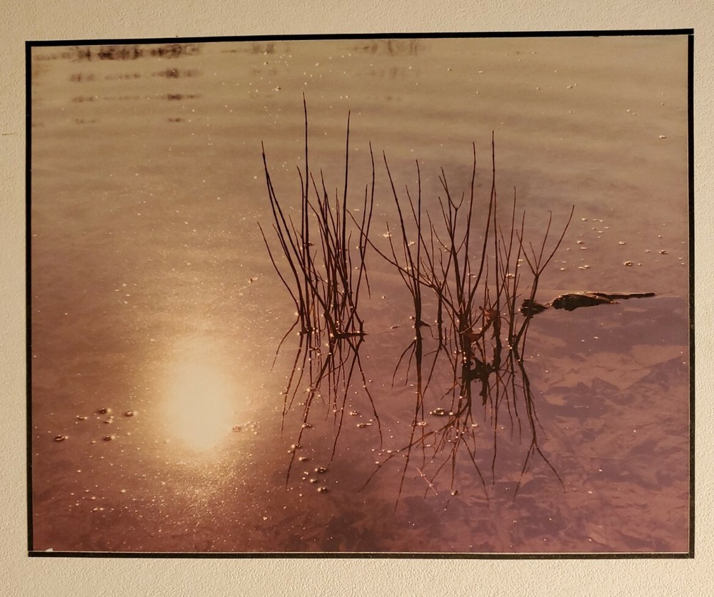 REFLECTED DAYSTAR ORIGINAL SIGNED ART PHOTO COLOR STETTNER VTG MATTE NJ CAMERA