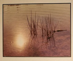 REFLECTED DAYSTAR ORIGINAL SIGNED ART PHOTO COLOR STETTNER VTG MATTE NJ CAMERA