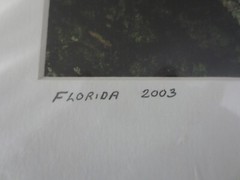 Frameable, Matted Dale Traupman FLORIDA 2003 PHOTO Print–9-1/2″ x 7-1/2″ Design