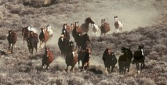 Wild West Horse Herd Art Photo Sepia Rustic Wood Frame Matted Hadley House 18×21