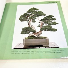 Nihon Bonsai Sakufu Ten 5th 1980 potted plants Japanese tradition art Photo Book